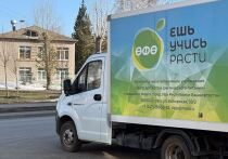 Минторг Башкирии успешно работает над пилотным проектом по организации специализированного питания для детей с сахарным диабетом