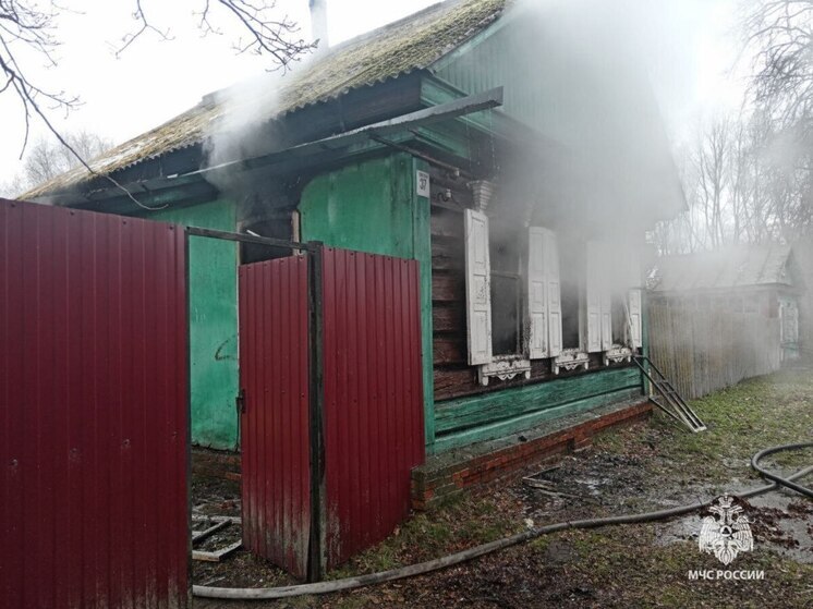 59-летний мужчина погиб на пожаре в брянском селе Митьковка
