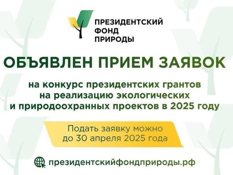 Тамбовчан приглашают принять участие в конкурсе на экологические проекты