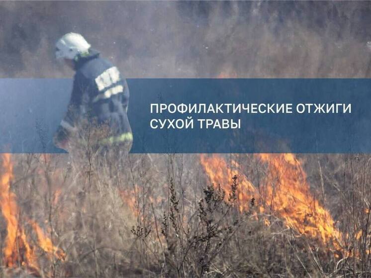 В Иркутске пройдут контролируемые отжиги сухой травы