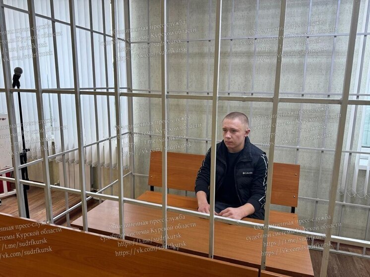 В Курской области парня осудили за избиение женщины шваброй и стулом