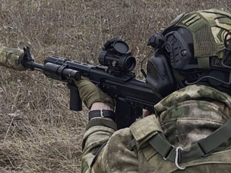 Елизаветовка в ДНР перешла под контроль армии России