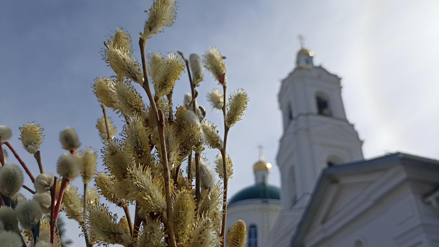 Вербное воскресенье в Никольском кафедральном соборе Оренбурга
