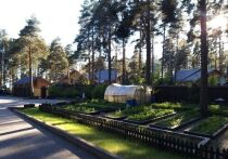 Совсем скоро начнется весенний сезон садово-огородных работ, а это значит, что северяне будут больше времени проводить на даче