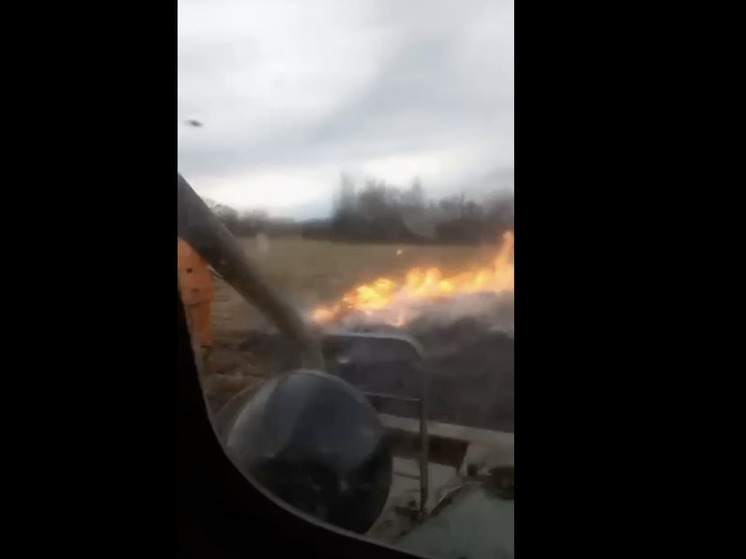 В Хинганском заповеднике в Амурской области потушили природный пожар