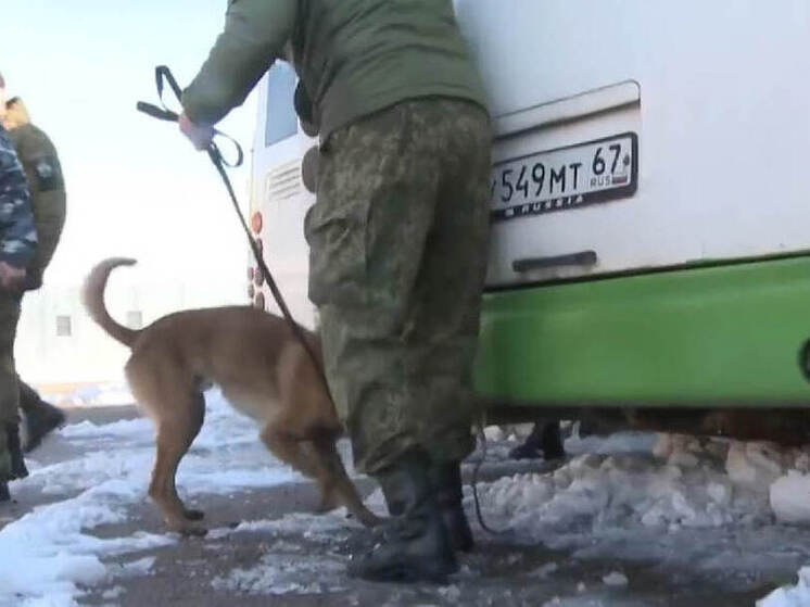 В регионе прошли соревнования специалистов-кинологов Центрального таможенного управления со служебными собаками