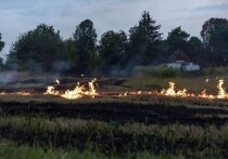  Об этом сообщили в ГУ МЧС России по региону