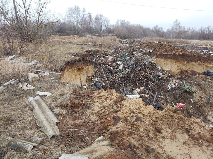 Житель Каменского района заплатит 40 тысяч рублей за несанкционированный сброс отходов