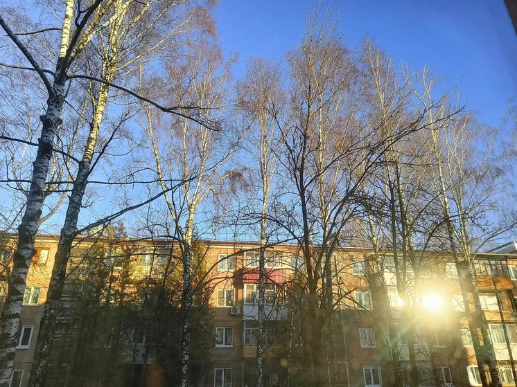 В Брянскую область приходит летняя погода
