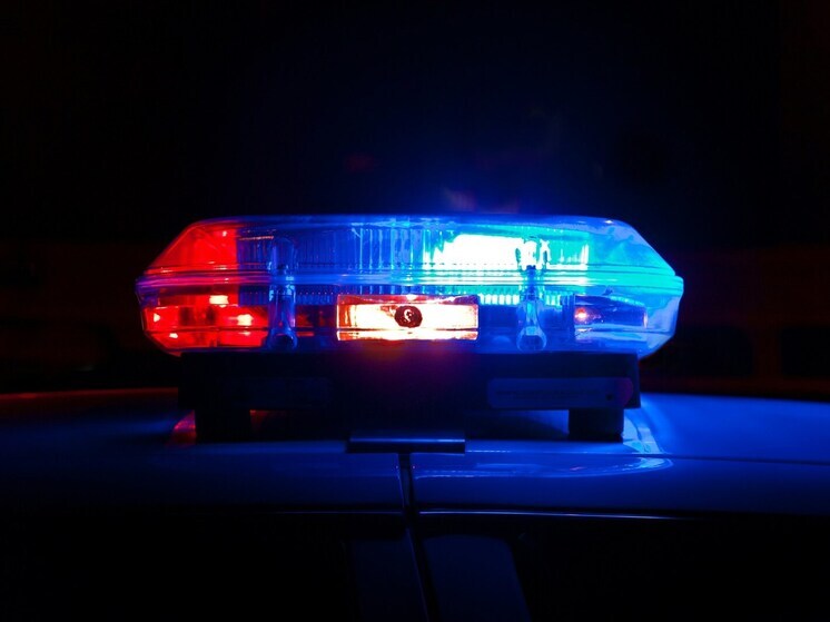 Пьяный ельчанин погиб под колесами автомобиля в ночь на 14 апреля