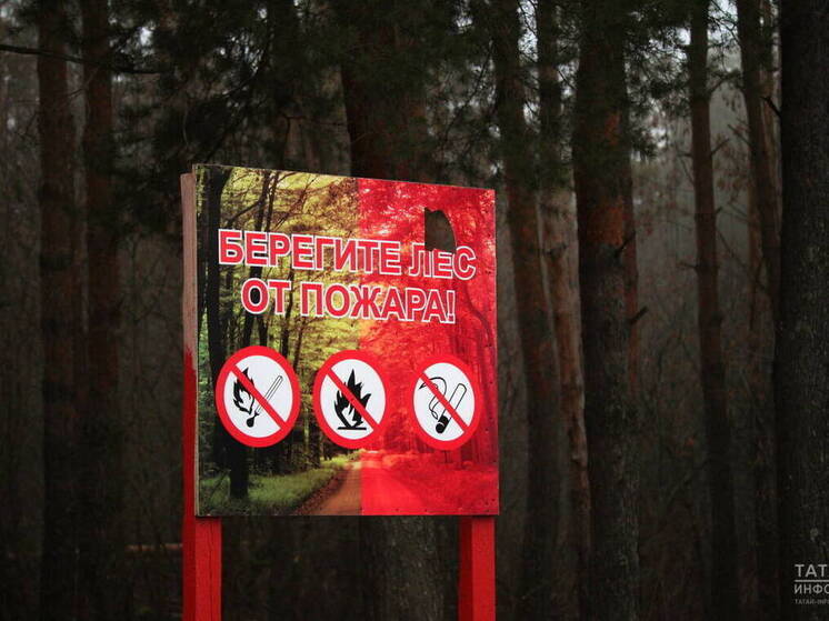 В Татарстане с 14 апреля ввели особый противопожарный режим
