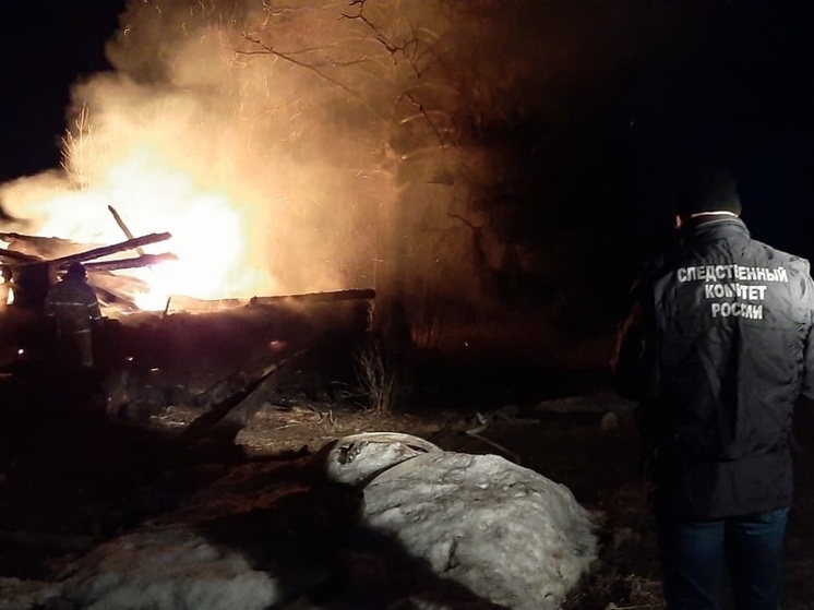 Мужчина погиб при пожаре в Каргопольском округе