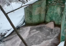 Жители микрорайона Хлебниково в Долгопрудном пожаловались на сбросы загрязненной воды в Клязьминское водохранилище