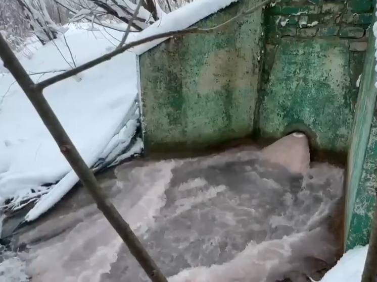 Жители микрорайона Хлебниково требуют остановить сброс отходов в водохранилище