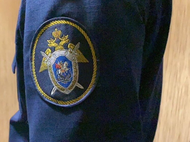 Астраханская предпринимательница скрыла от налоговой 3,5 миллиона рублей