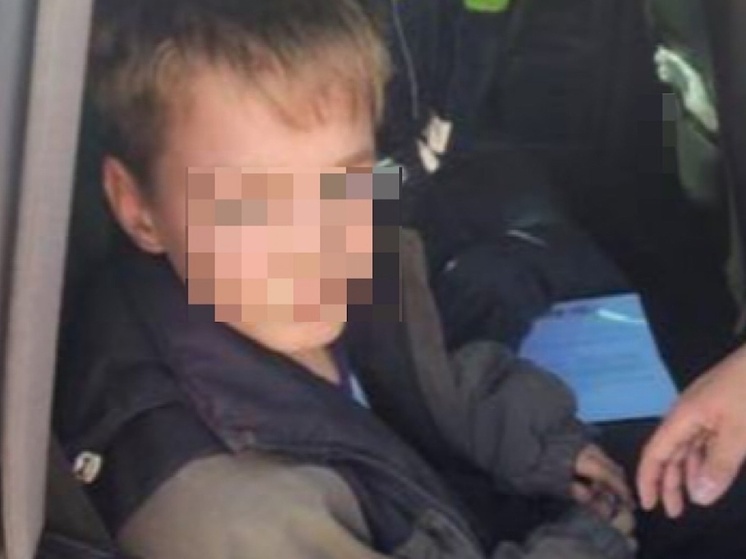В Таганроге обнаружили живым без вести пропавшего 11-летнего мальчика