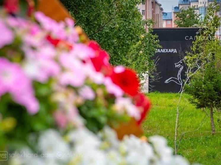 Летом Салехард украсят 46 тысяч цветов