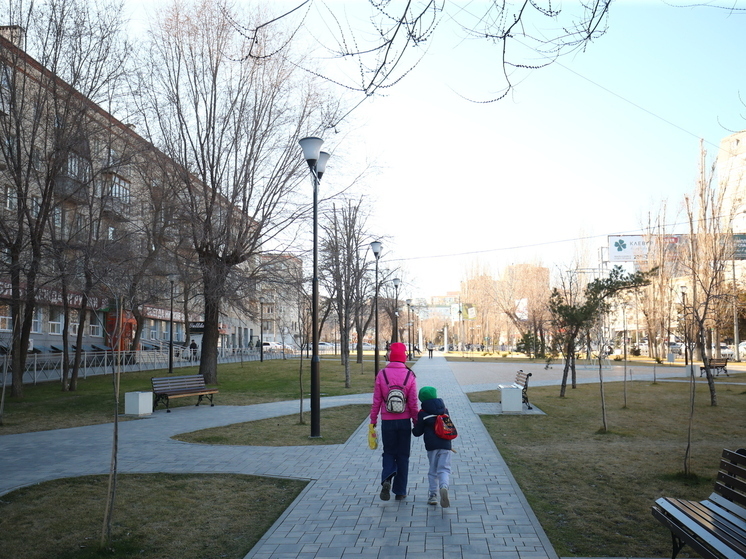 Волгоградцам разъяснили порядок оформления загранпаспорта для детей