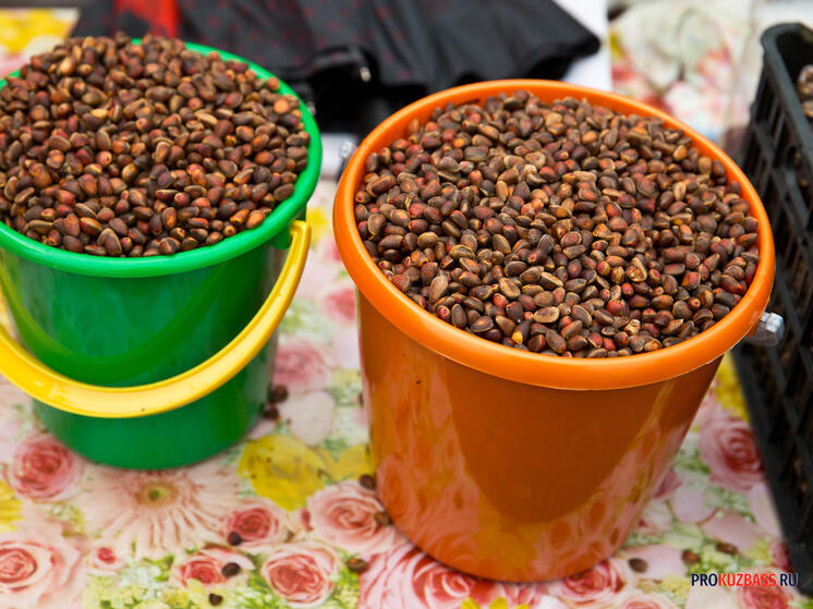 Ярмарка с грибами и кедровыми орехами пройдет на площади в Кемерове