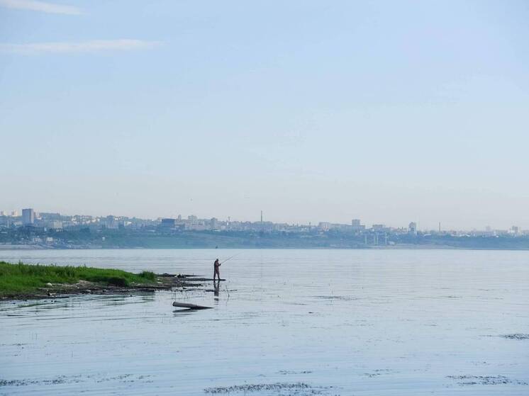 Обмеление Волги грозит гибелью осетровым и другим рыбам