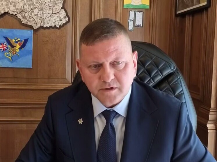 Залужный призвал украинцев не бояться "умереть и убивать"