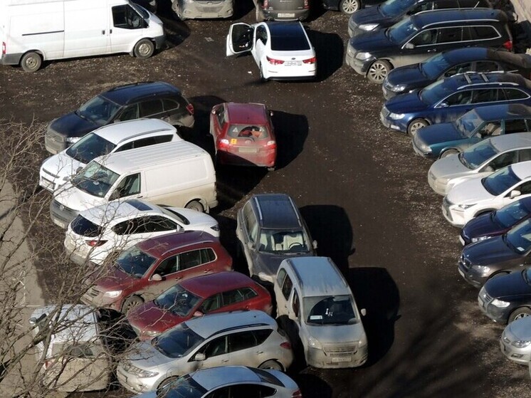 Многодетные в регионе могут бесплатно парковать машины на платных парковках