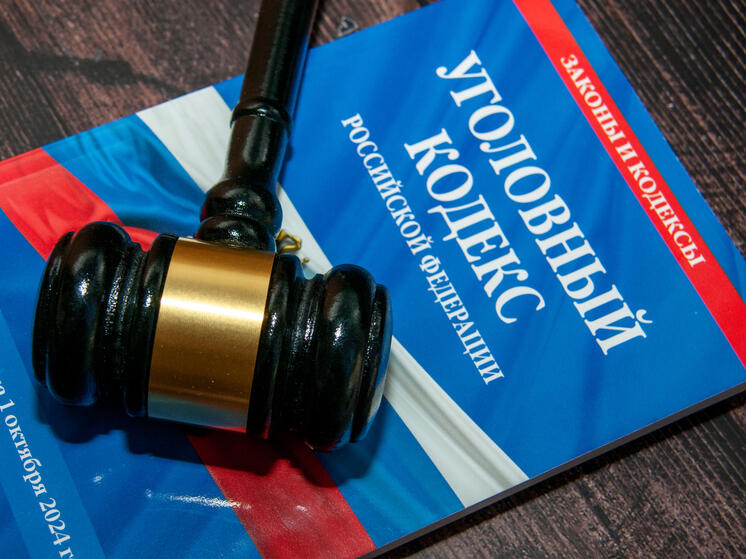 Суд в Нижнем Новгороде оставил в силе приговор певцу Шарлоту*