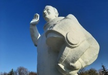 Праздник, приуроченный к 64-летней годовщине первого полета советского человека в космос, в Саратовской области прошел скромно