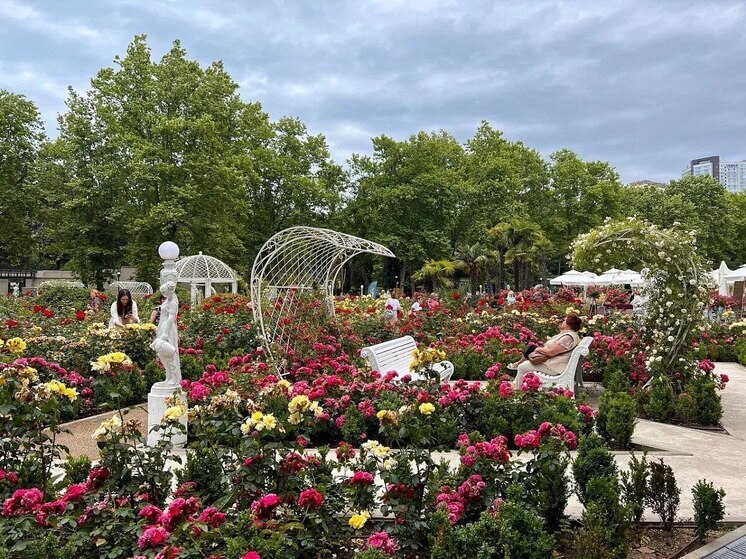 Муниципальные парки Сочи готовят к летнему сезону