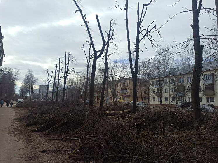 Из-за шквалистого ветра в Иванове объявлен «желтый» уровень погодной опасности