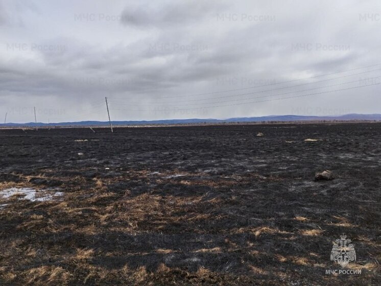Остановить безумие: Осипов экстренно обратился по лесным пожарам в Забайкалье