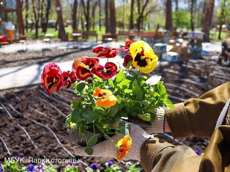 В симферопольском парке имени Гагарина высаживают весенние цветы