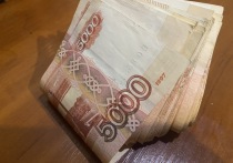 С начала 2025 года Отделение Социального фонда России по Рязанской области осуществило назначения выплат из пенсионных накоплений для 1 510 жителей региона