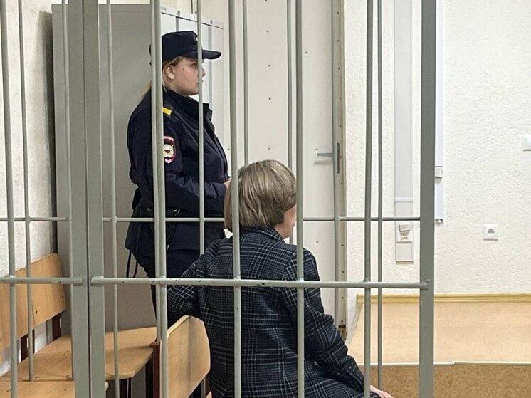 "А я буду жаловаться!": апелляционная жалоба поступила в псковский областной суд по "делу Ильиной"
