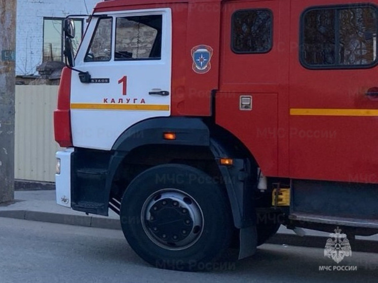 Калужские спасатели потушили за сутки 5 пожаров