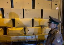 Пресекли незаконную попытку ввести груз