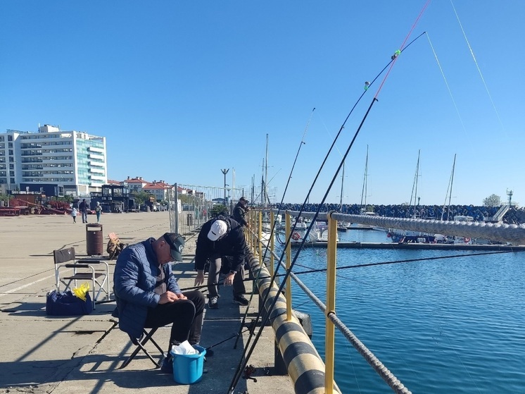 Челябинцы чаще других россиян скупают жилье на Кубани