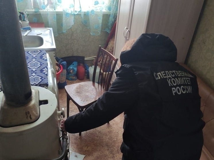 В Киржаче после фиктивной проверки дымохода задохнулась пожилая пара