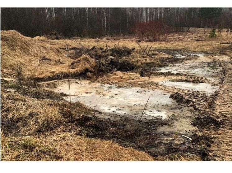 Россельхознадзор добился ликвидации свалки на  сельхозземлях Смоленского района