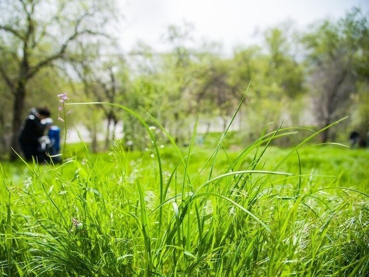 Региональный Роспотребназдзор зафиксировал случай иксодового боррелиоза