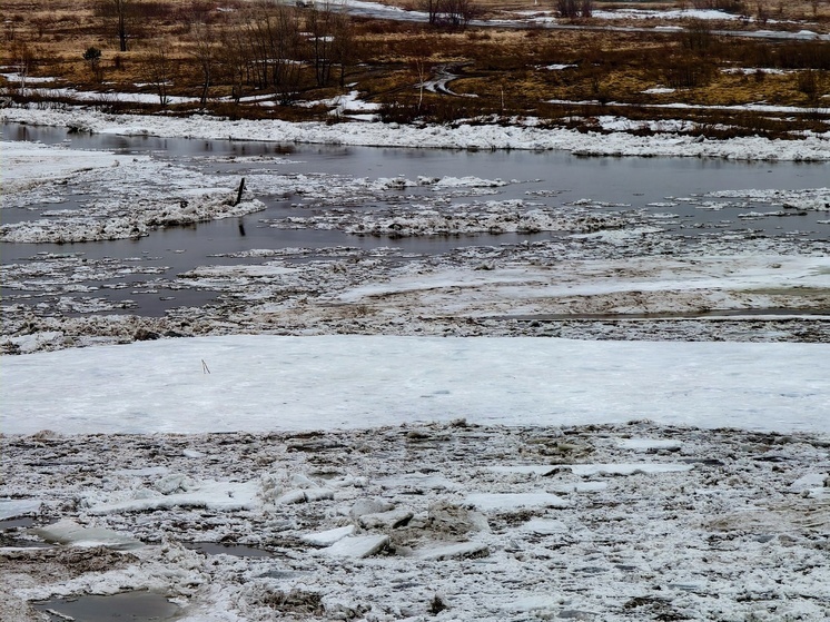 С 16 апреля в Колпашеве запускается ежедневная паромная переправа через Обь