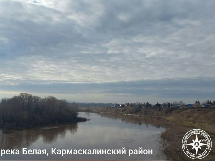 Стало известно, какие реки Башкирии показали наибольший подъем уровня воды