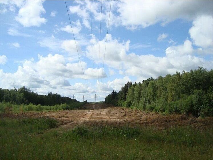 «Смоленскэнерго» напоминает о необходимости соблюдения правил пожарной и электробезопасности в быту, на дачных участках, а также в местах активного отдыха