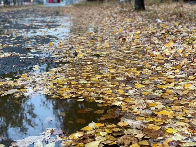 На Пасху и майские ожидается необычная погода, подобной не фиксировали с 1885 года: синоптики рассказали о прогнозе