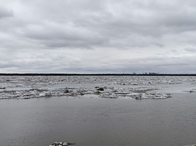 В Хабаровском крае ожидается подъем воды в одной из рек региона