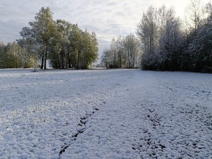 Погода на майские праздники: какие аномалии пообещали синоптики?