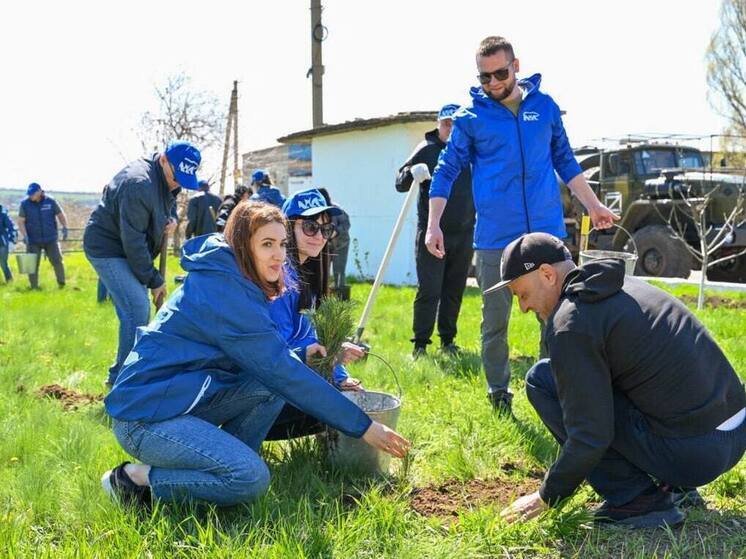 В Тельмановском МО ДНР высадили молодые ели