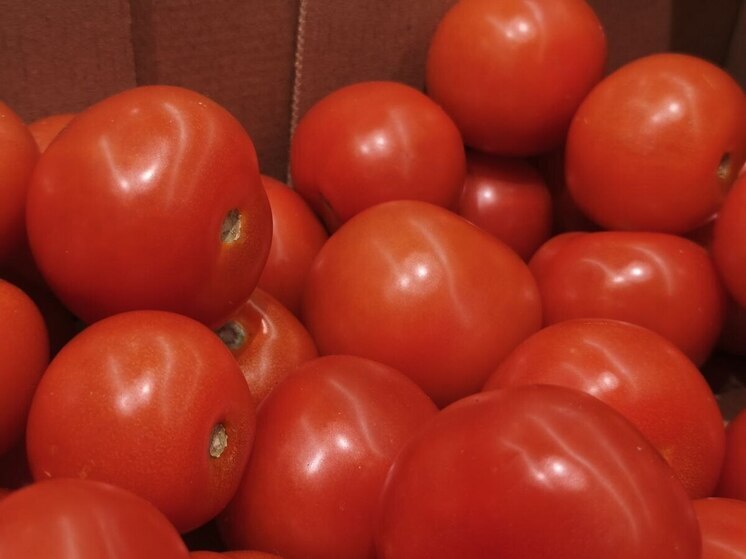 Семена неизвестного происхождения обнаружили на рынке Хабаровска