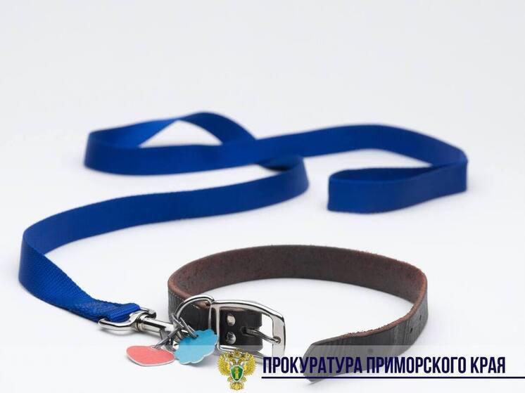 Жителя Приморья приговорили к обязательным работам за жестокое обращение с собакой