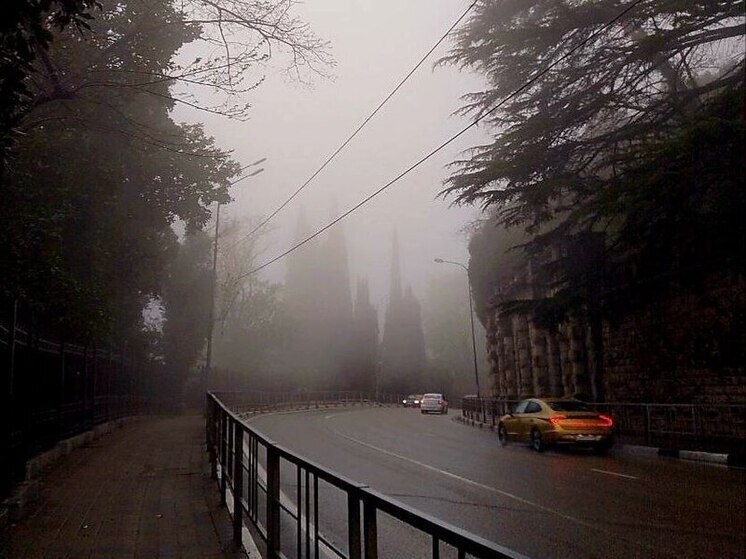 В Сочи ожидается туман: метеорологи предупреждают о снижении видимости